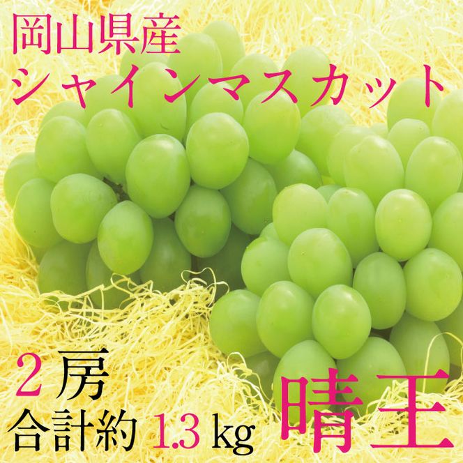 ぶどう 2026年 先行予約 9月・10月発送 シャインマスカット 晴王 2房（合計約1.3kg） ブドウ 葡萄 岡山県産 国産 フルーツ 果物 ギフト