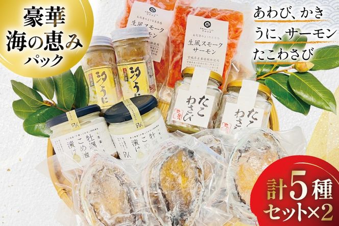 豪華 海鮮5種 たっぷり海の恵みパック [たみこの海パック 宮城県 南三陸町 m304amh560092] 魚介類 海鮮 うに ウニ アワビ あわび 鮑 サーモン 銀鮭 鮭 牡蠣 カキ たこわさび 詰め合わせ