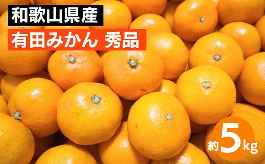 【先行予約】 有田みかん 秀品 約5kg サイズ混合 和歌山県産