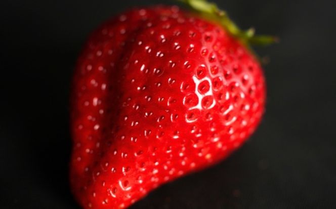 【先行予約】出会いの森いちご園 スカイベリー （290g×4パック） | いちご イチゴ 苺 栃木県 果物 くだもの フルーツ スカイベリー 新鮮 贈答 ギフト デザート スイーツ ※2026年12月～発送