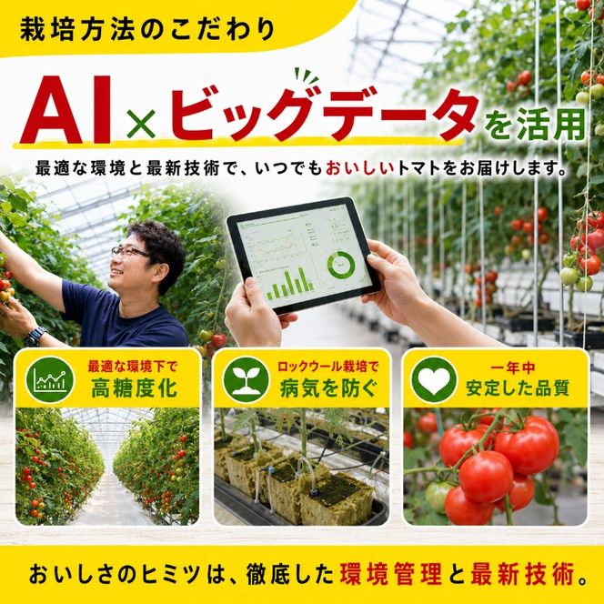 機能性表示食品 Hapitoma ハピトマ 訳あり（1.8kg）【配送不可：北海道・沖縄・離島】健康 ヘルシー GABA 人気 厳選 袋井市 野菜 トマト ミニトマト ストレス リコピン コレステロール 規格外品 新鮮 