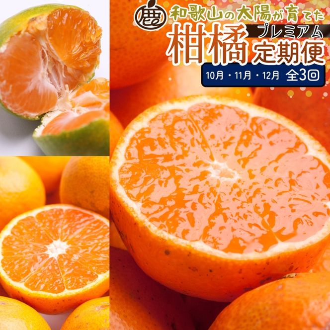 【定期便】厳選 柑橘定期便 S 3回（10～12月）※北海道・沖縄・離島への配送不可※10月・11月・12月に発送