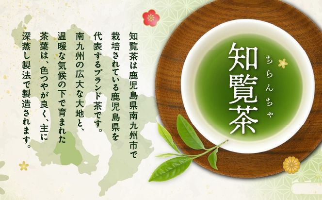＜選べる＞かごしま知覧茶 100g×1袋～12袋　K346-001_SKU