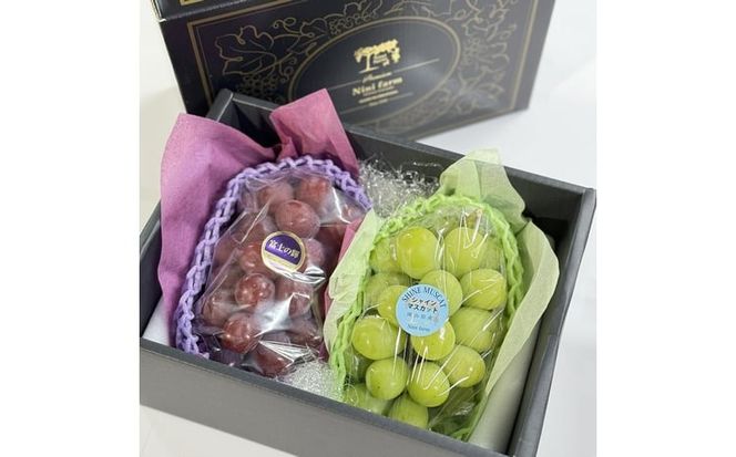 ぶどう 2026年 先行予約 ぶどう 話題の品種 富士の輝＆こだわりのシャインマスカット 贈答ランク 合計約1.4kg ブドウ 葡萄 岡山県産 国産 フルーツ 果物 ギフト 【 Nini farm 農家 直送 】 [№5735-3313]