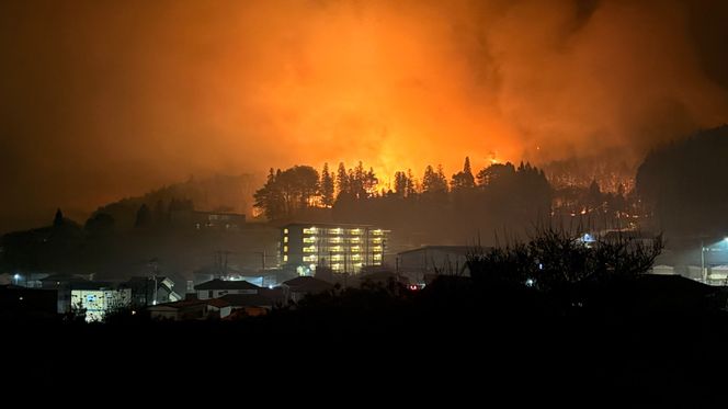 令和8年4月 岩手県大槌町林野火災 【災害支援寄附】