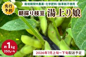 【先行予約／数量限定40】朝採り枝豆（湯上り娘）1kg（250g×4パック）（栽培期間中農薬・化学肥料・除草剤不使用）（2026年7月上旬～発送）　KU00070