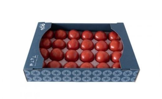 てるて姫 大箱 約2.6kg × 1箱 【20～35玉/1箱】 2026年産 野菜ソムリエサミット 金賞 糖度9度 以上 野菜 フルーツトマト フルーツ トマト とまと [AF109ci]