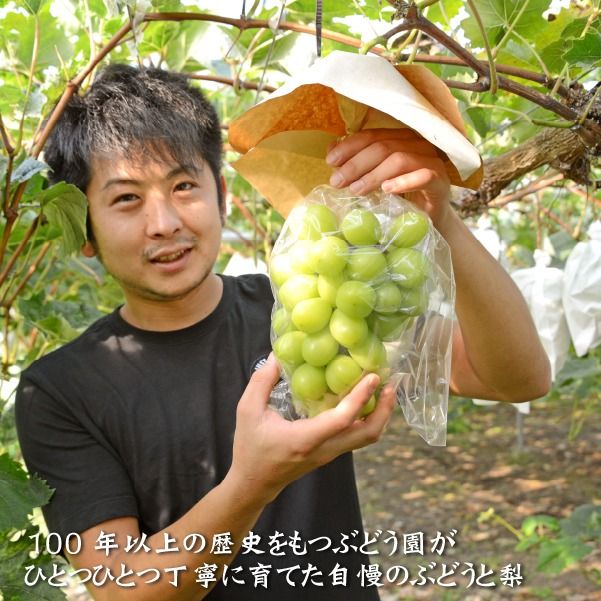 【数量限定】瀬戸ジャイアンツと梨のセット（ぶどう ブドウ 梨 果物 セット 詰め合わせ フルーツ 贈答用 限定）