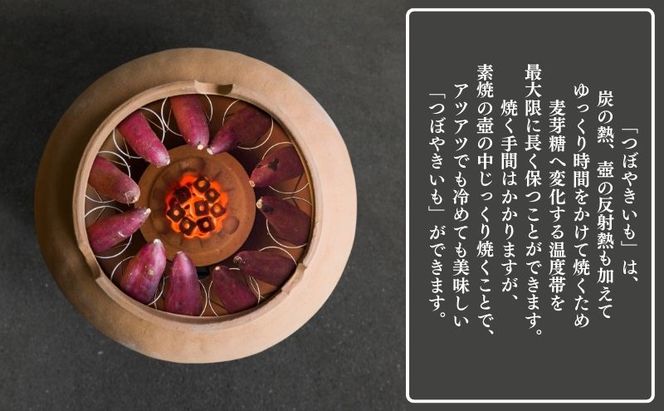 【アイスと焼き芋セット】つぼやきいもアイスクリーム 6個 壺でじっくり焼いた冷凍つぼやきいも 500g 国産 スイーツ 焼き芋 さつまいも 袋井市 セット お菓子 おやつ 濃厚ミルク 天然スイーツ 食後 デザート