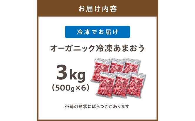 オーガニック冷凍あまおう 「いせいちご」 3kg (500g×6パック)【伊世いちご畑】_HA1317
