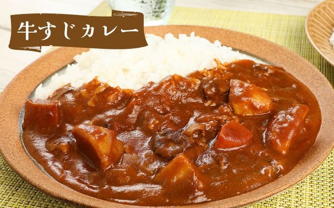 隊員食堂カレー（中辛２個・牛すじ２個）・お米600ｇセット《築上町》【NPO法人築上町観光協会】贈答 限定 レトルト 個包装 夢つくし[ABAX006]