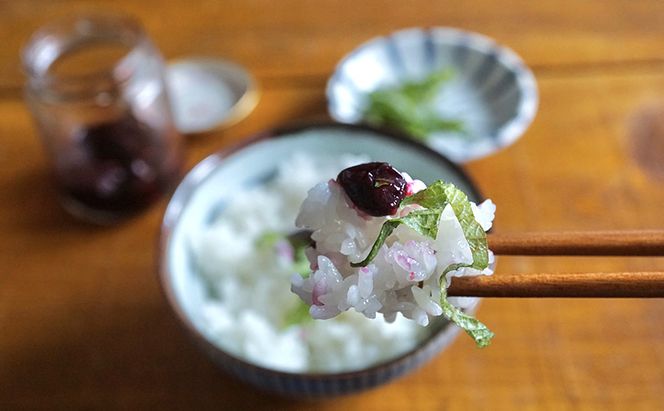 厚岸ハスカ 冷凍ハスカップ 1袋（500g） アントシアニン スーパーフード 果実 ビタミン ミネラル 抗酸化作用 ポリフェノール 北海道産 