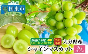 【先行予約】【令和8年発送】おおいたの豊潤シャインマスカット 約2㎏_1615Ｒ