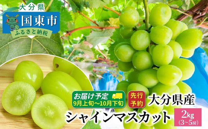 【先行予約】【令和8年発送】おおいたの豊潤シャインマスカット 約2㎏_1615Ｒ