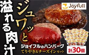 ジョイフル ハンバーグ スペシャル 詰め合わせ 2種 30個 セット《築上町》【株式会社　ジョイフル】[ABAA071]