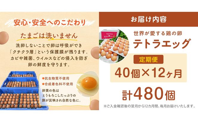 【J3-015】テトラエッグ(40個/月)【12ヵ月定期便】