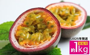 【2025年11月～発送】パッションフルーツ　約1kg（家庭用） フルーツ 果物 くだもの 果実 沖縄 大宜味村 食べ物 国産 ビタミン 沖縄県産 産地直送 ギフト プレゼント トロピカル 送料無料 家庭用 スイーツ お取り寄せ デザート パッション