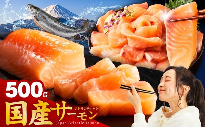 nbj0010 国産アトランティックサーモン 500g ポーション【小分け 真空パック 訳あり サイズ不揃い 刺身 海鮮丼 さーもん 鮭 さけ シャケ しゃけ 冷凍】