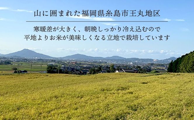 【令和7年産】糸島産 夢つくし 10kg 糸島市 / 糸島王丸農園 ( 谷口汰一 ) /いとしまごころ[AAZ005]