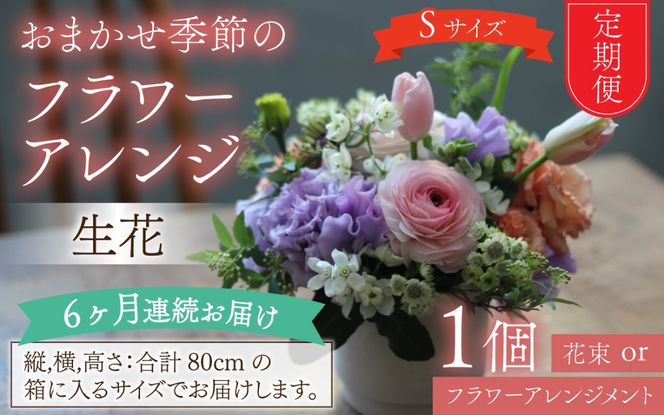 【定期便6回】母の日アレンジok おまかせ季節のフラワーアレンジ（生花）Ｓサイズ×6ヶ月【母の日申込期日：4/26（日）まで】【母の日発送予定日：～5/11（月）まで】お好み 日時指定可能
