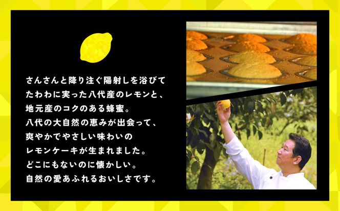 レモンケーキ 5個入 レモン 檸檬 お菓子 焼き菓子 洋菓子 スイーツ デザート ギフト 熊本県 八代市