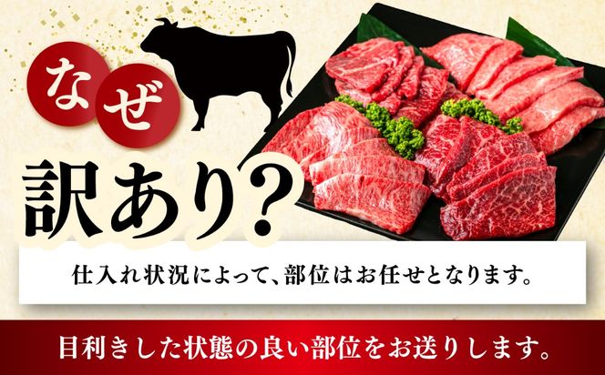 【スピード発送】【訳アリ】博多和牛 A5,4等級 上赤身焼肉 400g《築上町》【久田精肉店】 焼肉 赤身 訳あり 国産 人気[ABCL180]