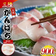 三陸産 カンパチ 刺身 900g 新鮮 人気 高級 天然 三陸 魚 産地直送 かんぱち 勘八 しゃぶしゃぶ 鍋 照り焼き 刺し身 さしみ 生 冷凍 海鮮 魚介 国産 グルメ 急速冷凍 kanpati スキンレス フィレ ワンフローズン 岩手 大船渡 岩手県 大船渡市 [kouyou021]