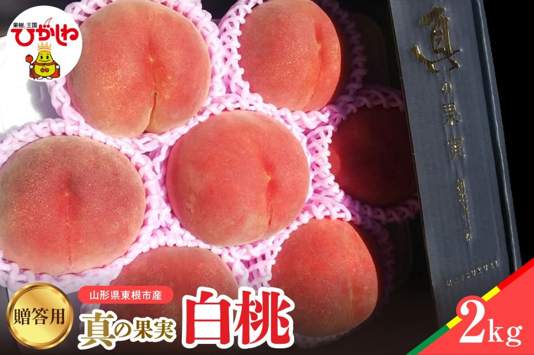 [2025年産 先行予約]真の果実 贈答用 白桃2kg 山形県 東根市 hi004-hi062-020-2