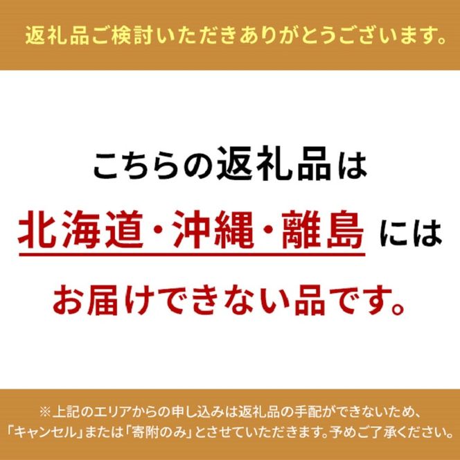 ぶどう 2026年 先行予約 シャイン マスカット 晴王 2～5房入り 合計約2kg 大粒 種無し ブドウ 葡萄 岡山県産 国産 フルーツ 果物 ギフト 橋田商店