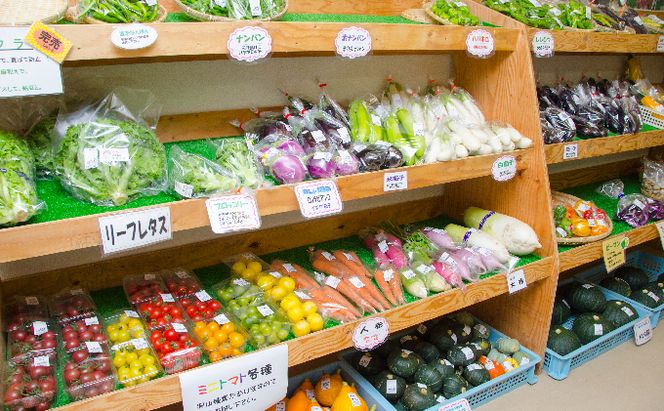 南ふらの産 玉ねぎ 約10kg 【サイズ混合】 北海道 南富良野町 2026年発送 先行予約 北海道 南富良野町  玉葱 玉ネギ 玉ねぎ ネギ ねぎ 先行予約 野菜 たまねぎ 