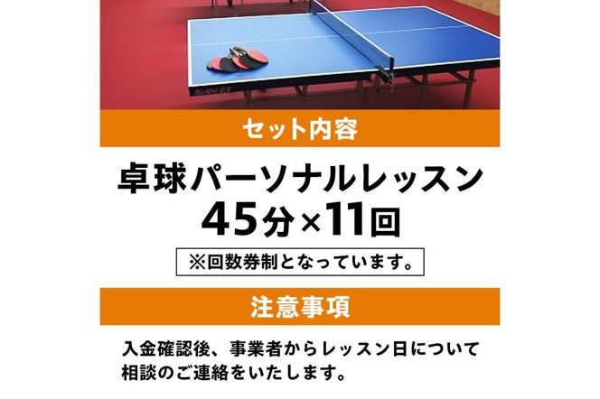 卓球パーソナルレッスン（45分×11回）【0075-003】