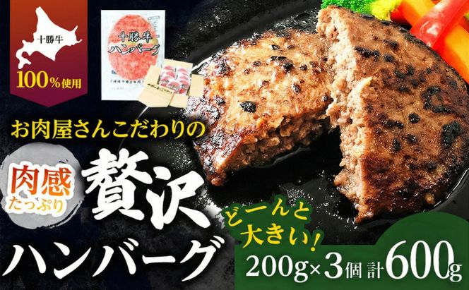 北海道 十勝牛 手ごねハンバーグ 200g×3個【 セット 牛100% 国産牛 牛肉 ハンバーグ 惣菜 小分け 冷凍 牛肉100% 大きい 国産 北海道 十勝 幕別 ふるさと納税 送料無料 】