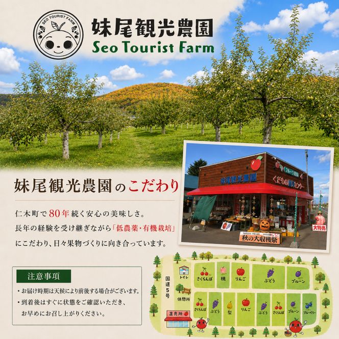 2027年発送 北海道 仁木町産 さくらんぼ 「紅秀峰」 M-L混合 600g (300g×2パック) 国産 旬のフルーツ 旬の果物 デザートサクランボ チェリー フルーツ 果物 果物類 仁木 [フルーツショップ妹尾観光農園] 