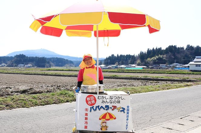 ババヘラ・アイスセット [タッパアイス2パック（1,000ml×2）、コーン10個、専用ヘラ1個]【進藤冷菓】ご当地アイス|23_sdr-060101