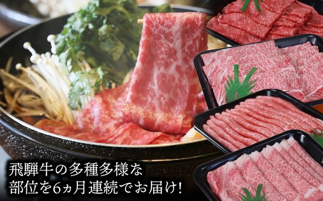 AB-24 大満足飛騨牛三昧6か月コース