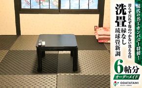 現代の名工カンパニー特製！ペット・介護向けペット・介護用滑らず汚れず傷のつかない洗える畳『洗畳』縁無琉球畳新調6帖サイズ（畳半帖サイズ12枚）　K348-010