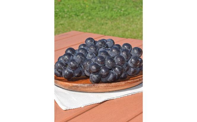 【2026年9月～発送】種無し巨峰 訳あり家庭用 約2kg 4～6房 ぶどう 葡萄 巨峰 果物 信州 長野