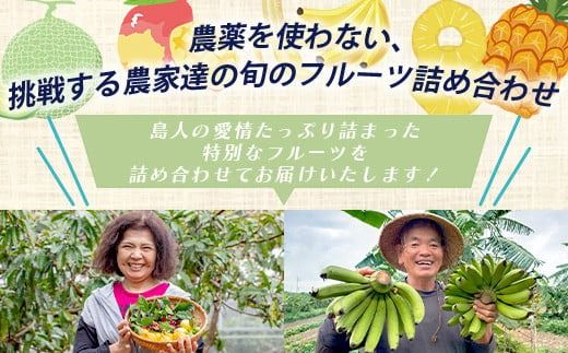 旬の南国フルーツ詰め合わせ！農薬を使わず、森のような畑で栽培する特別な果物 10月から3月は一番人気の文旦が主役！【 沖縄 石垣島 石垣島産 フルーツ 果物 セット 詰合せ 農薬不使用 】OI-19-1