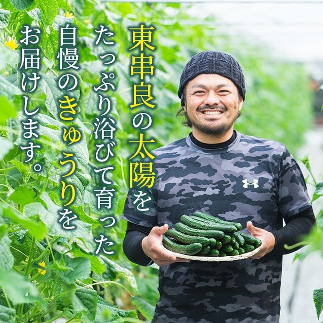 【 新鮮・希少 期間限定 】雪うるい 山菜 うるい 2kg 送料込み 農家直送 ○商談中○【 新鮮・希少 期間限定 】雪うるい 山菜 2kg送料込み