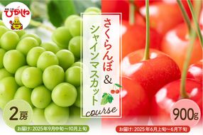 【2025年先行予約 2回 定期便】GI東根さくらんぼandシャインマスカットコース（佐藤錦露地900g、シャインマスカット2房）山形県 東根市 hi999-034-2