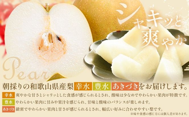 紀州 和歌山県産 旬の フルーツ セット ミニ 2ヶ月定期便 8月・9月配送 桃 3玉 梨 3玉 株式会社魚鶴商店《8月-9月頃出荷》和歌山県 日高川町 もも なし 定期便 果物 旬---wshg_uot102tei_26_20000_89y2---