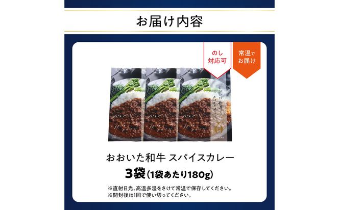 【K03038】おおいた和牛 スパイスカレー 3袋
