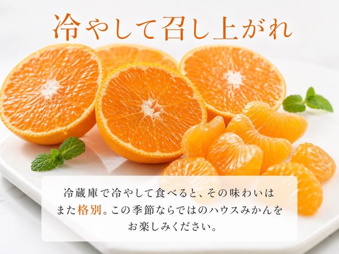 赤秀品 紀州和歌山ハウスみかん 2.5kg［2027年6月末頃～2027年7月中旬頃に順次発送］［UT87］ 303446_XF045