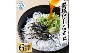 【CF-R7hbk】《6ヶ月定期便》高知県産釜揚げしらす×8パック 定期便 定期コース 6回 簡易梱包 小分け 国産 釜揚げ シラス丼 海鮮丼 ゆず付 お茶漬け 軍艦巻き 手巻き寿司 冷凍配送 おかず お取り寄せ