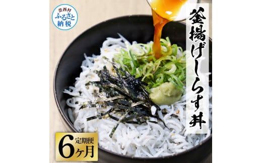 【CF-R7hbk】《6ヶ月定期便》高知県産釜揚げしらす×8パック 定期便 定期コース 6回 簡易梱包 小分け 国産 釜揚げ シラス丼 海鮮丼 ゆず付 お茶漬け 軍艦巻き 手巻き寿司 冷凍配送 おかず お取り寄せ