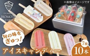 アイスキャンディ 10本セット 全7種＋ランダム3本 糸島市 / TANNAL [ATB033] アイス キャンディ アイスバー フルーツ 果物 果肉入り いちご 苺 メロン