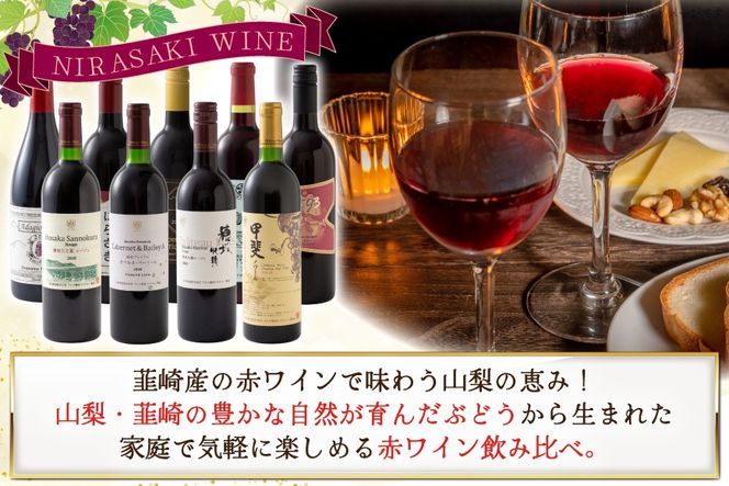 ワイン 赤ワイン好き必見！ 韮崎産 赤ワイン 9本 飲み比べ セット 750ml 8本 720ml 1本 [株式会社まあめいく 山梨県 韮崎市 20745325] ワイン Wine わいん 飲み比べセット お酒 酒 山梨ワイン セット