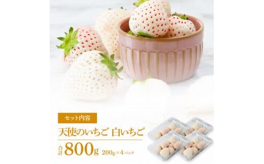 【CF-R7hbk】SKS047　Berry農園 天使のいちご（白いちご）