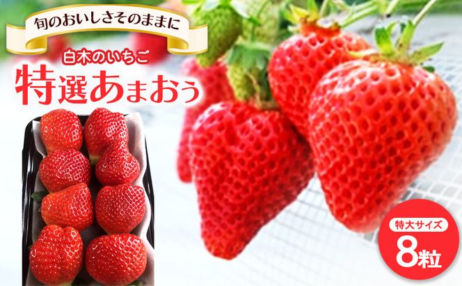 いちご いちご職人直送 白木のいちご 特選 あまおう (特大サイズ) 8粒 イチゴ 苺 果物 デザート ※配送不可：沖縄・離島