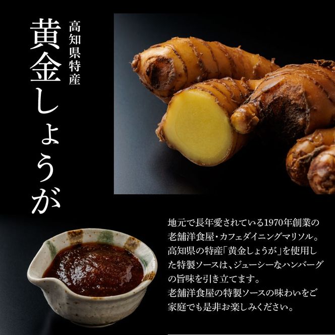 塩仕込みハンバーグ 8個入り 黄金しょうがソース付 4袋 美鮮豚 びせんとん 生姜 田野屋青蜂 白鯆 完全天日塩 肉 お肉 国産牛 四万十ポーク おかず 惣菜 ジューシー おいしい 洋食 お取り寄せ 冷凍 配送 高知県 田野町